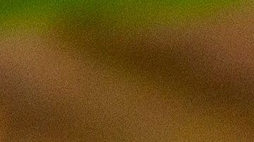 rubs para carne y pollo