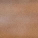 Alambre de carne al pastor