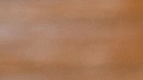 Alambre de carne al pastor