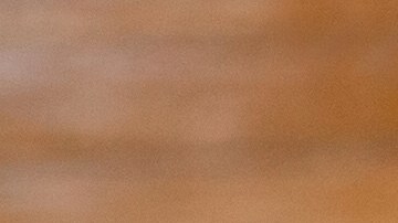 Alambre de carne al pastor