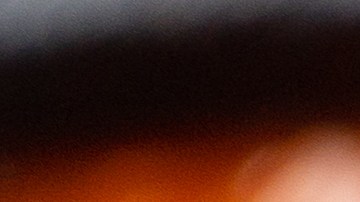 Sartén con el alambre de res con salsa inglesa