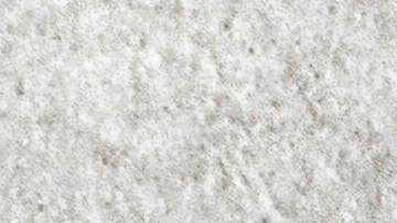 Carpaccio de pepino y yogurt con eneldo