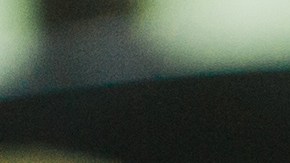 Flautas de mole con pollo