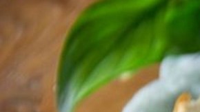 Queso brie al horno con manzana caramelizada y tocino