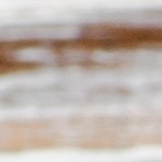 Pechugas de pollo a la plancha con calabacín a la parrilla