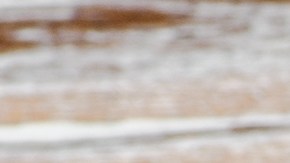 Pechugas de pollo a la plancha con calabacín a la parrilla