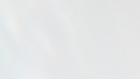 Pechugas de pollo a la plancha con salsa de naranja y jengibre