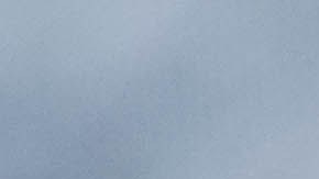 Stroganoff de carne molida