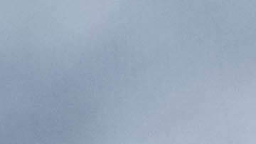 Stroganoff de carne molida