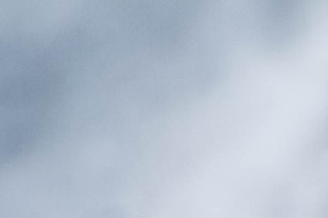 Stroganoff de carne molida