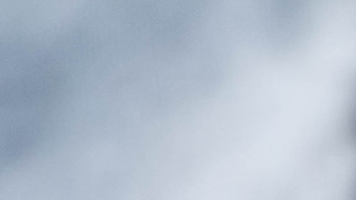 Stroganoff de carne molida