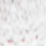 ensalada de garbanzos y bulgur con vegetales