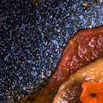 estofado de champiñones