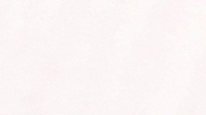 Osobuco a la naranja