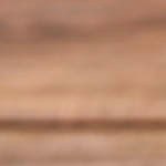 setas salteadas con ajo y perejil