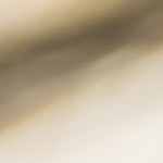 Pechugas de pollo a la plancha con cilantro y lima