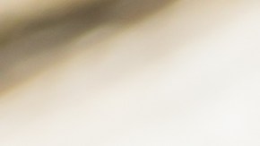 Pechugas de pollo a la plancha con cilantro y lima