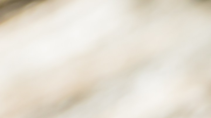 Pechugas de pollo a la plancha con cilantro y lima