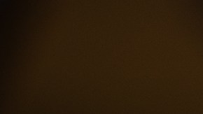 Flautas de frijoles refritos