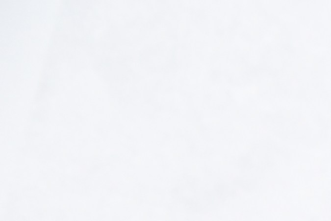 carne molida estofada