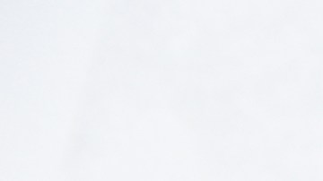 carne molida estofada