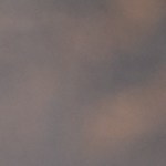 Ensalada de pollo con mango y aguacate