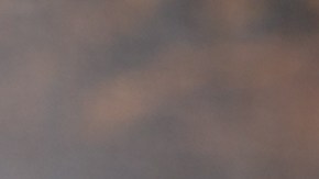 Ensalada de pollo con mango y aguacate