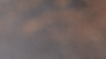 Ensalada de pollo con mango y aguacate