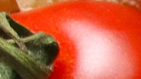 pappardelle vegano al ragú de lentejas