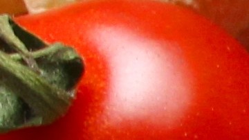 pappardelle vegano al ragú de lentejas