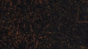 Pechugas de pollo a la plancha con salsa de tamarindo