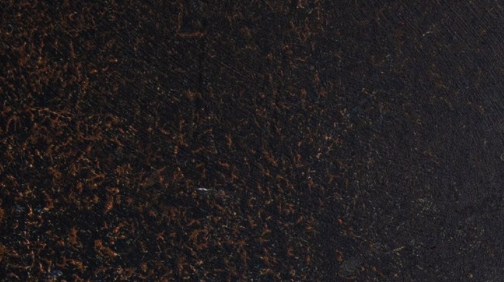 Pechugas de pollo a la plancha con salsa de tamarindo