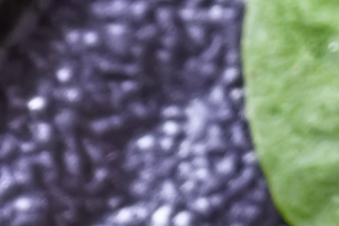 Osobuco con espárragos