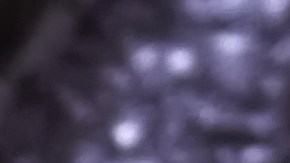 Osobuco con espárragos