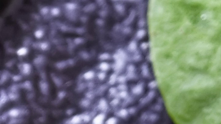 Osobuco con espárragos