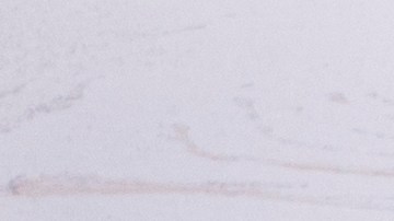 tortilla de papas y espinacas