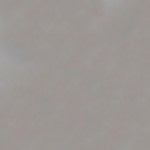 Rigatoni a la Carbonara