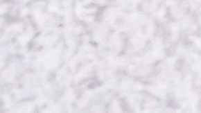 lentejas guisadas con chorizo y verduras