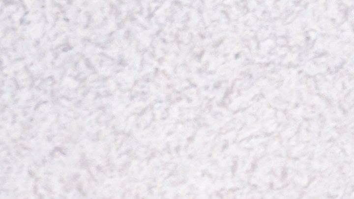 lentejas guisadas con chorizo y verduras