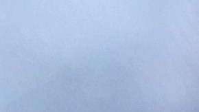 Osobuco con champiñones