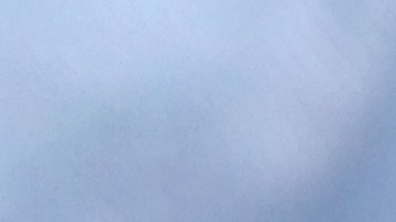 Osobuco con champiñones