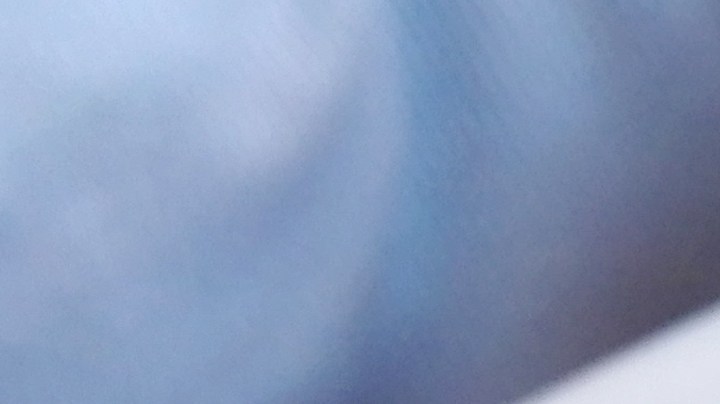 Osobuco con champiñones