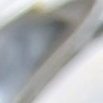 Alambre de res con chipotle