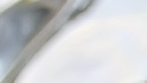 Alambre de res con chipotle