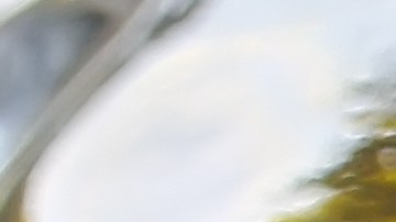 Alambre de res con chipotle