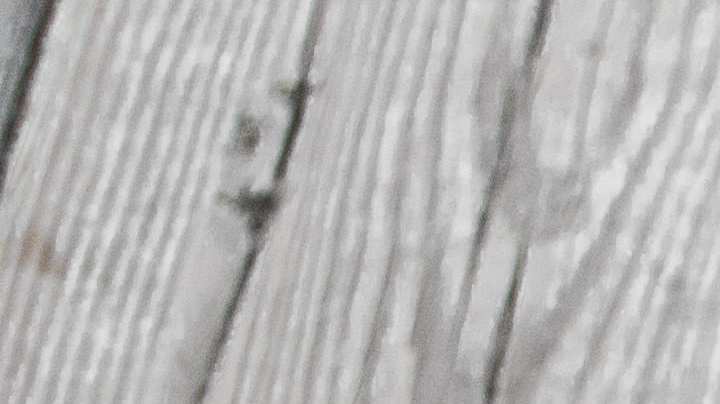 Alambre de pollo con champiñones