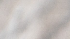 Alambre de res con tocino