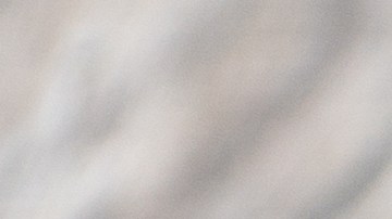 Alambre de res con tocino