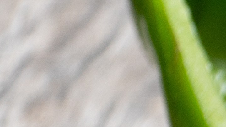 Alambre de res con tocino