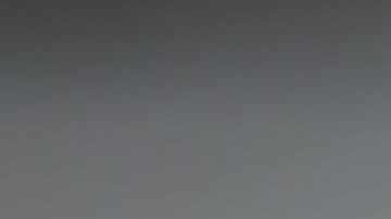 Arroz con finas hierbas